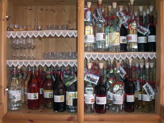 2011_DachsteinFrankPeter (19)